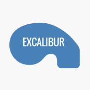 Half-Circle Turning Into A Small Rectangle-End Pool Shape - Excalibur