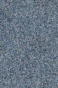 Carribean Grey