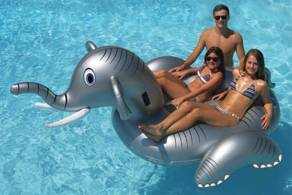 elephant pool float