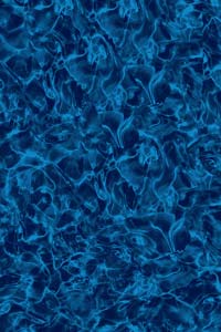 Indigo Arctic