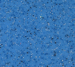 Inground Pool Liner