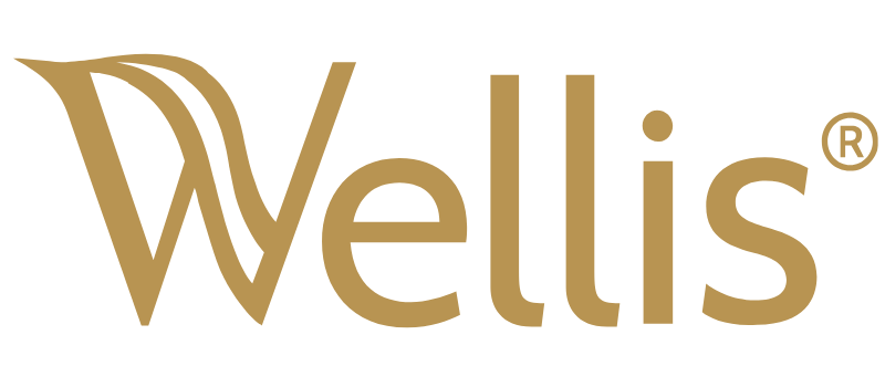 Welliso Hot Tubs and Spas