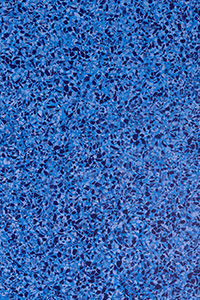 Shimmering Sea Glass